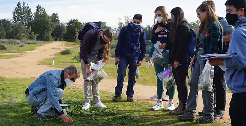 CaliforniaPlantsLab_3