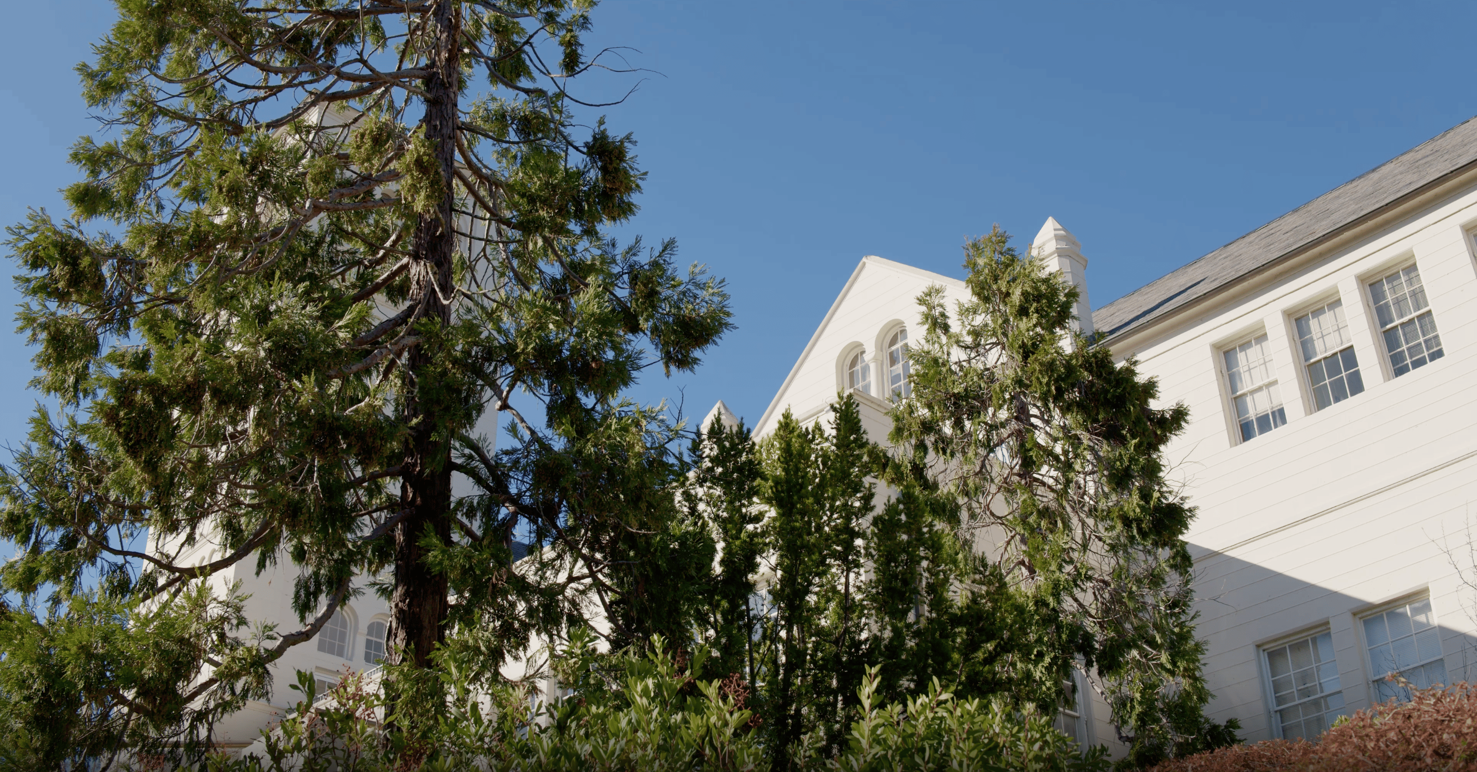 Screenshot 2025-07-10 at 10.54.06 AM