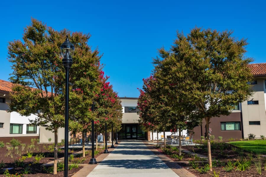 a walkway with trees and a building