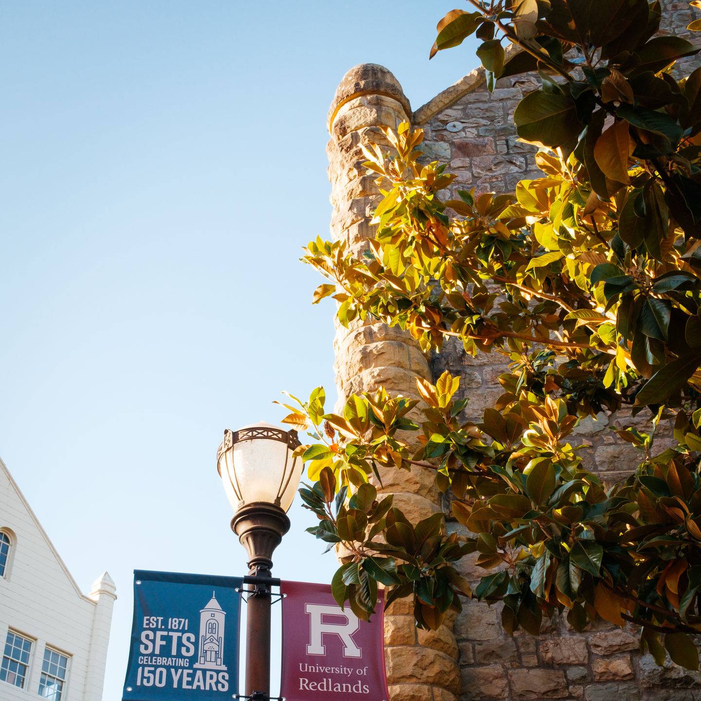 a tree next to a building