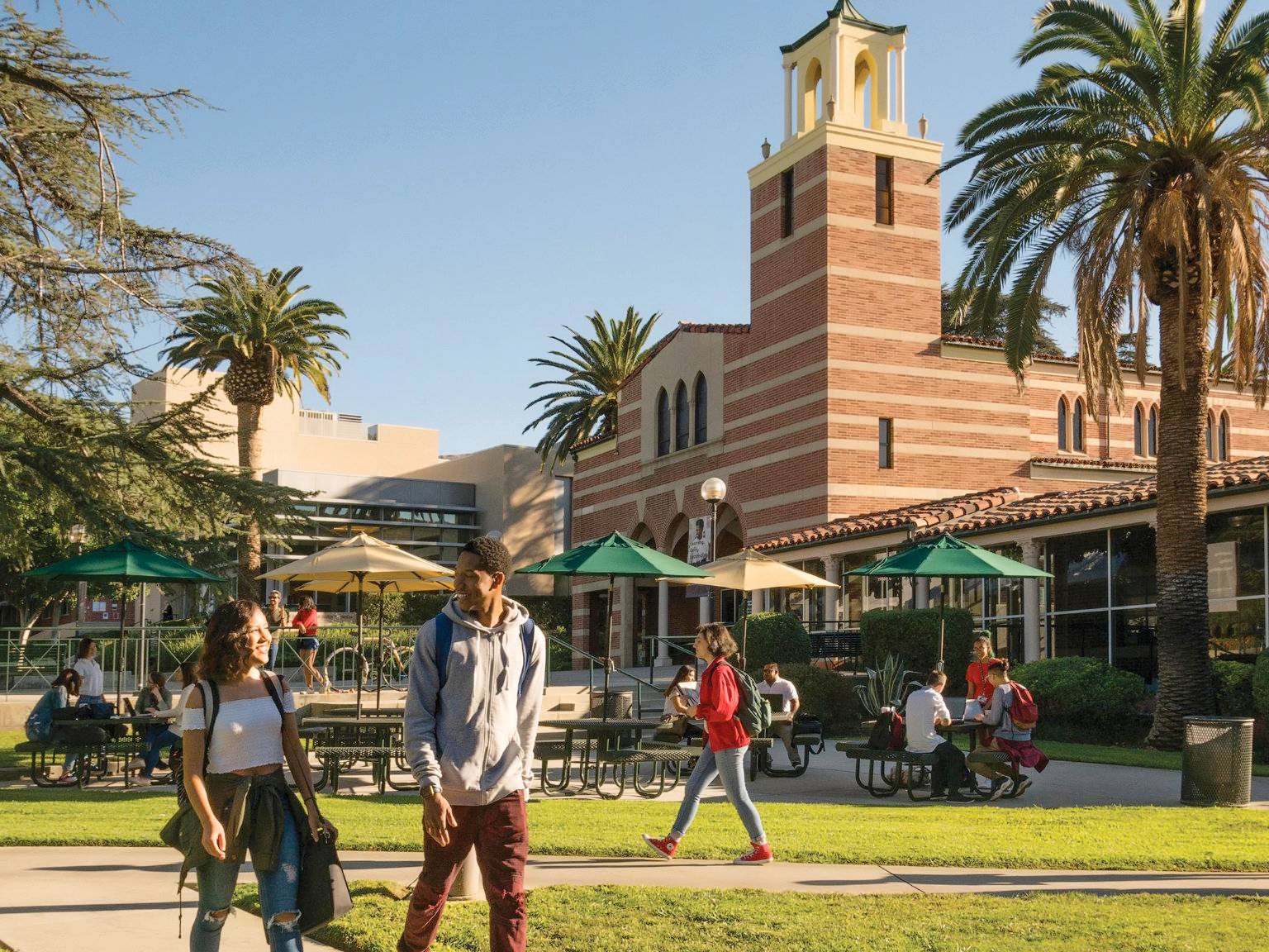 a group of people walking in a park