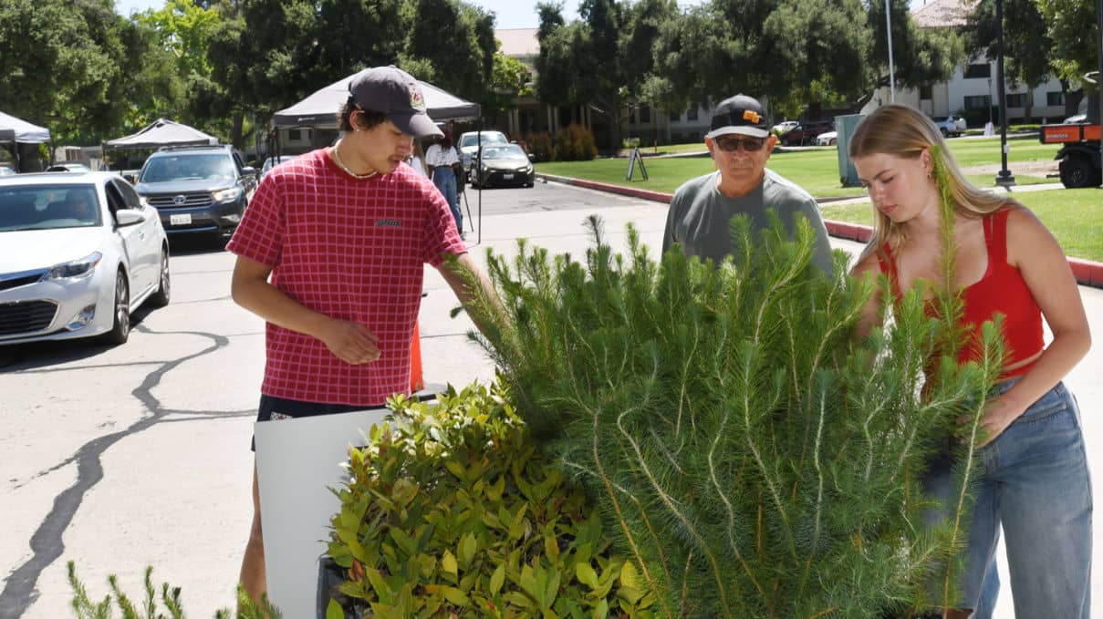 a man and a man looking at a plant