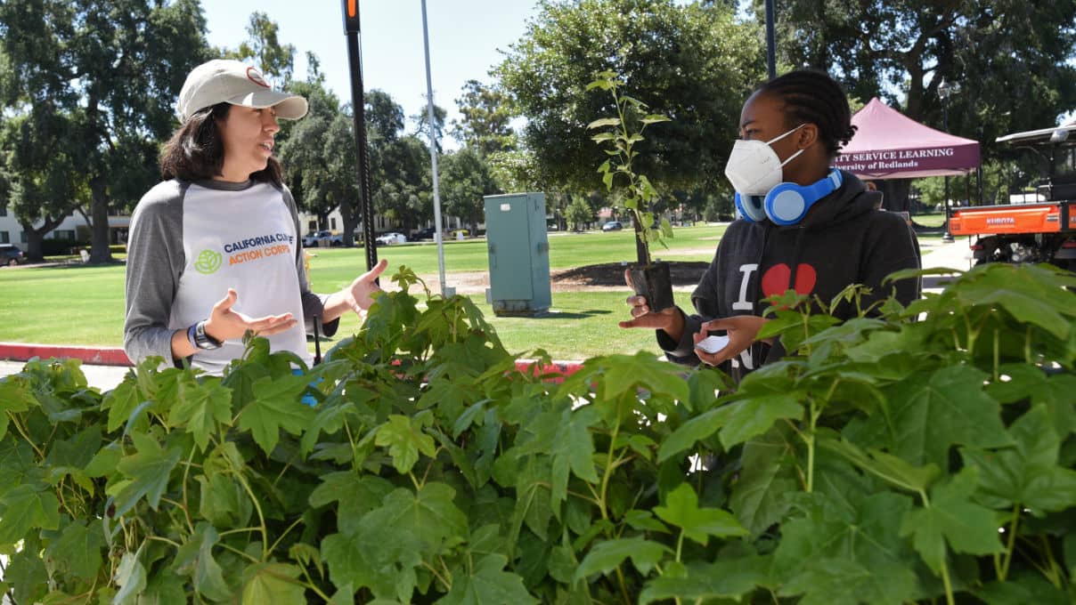 a woman wearing a mask talking to a woman in a park