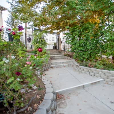 a walkway with a garden and trees