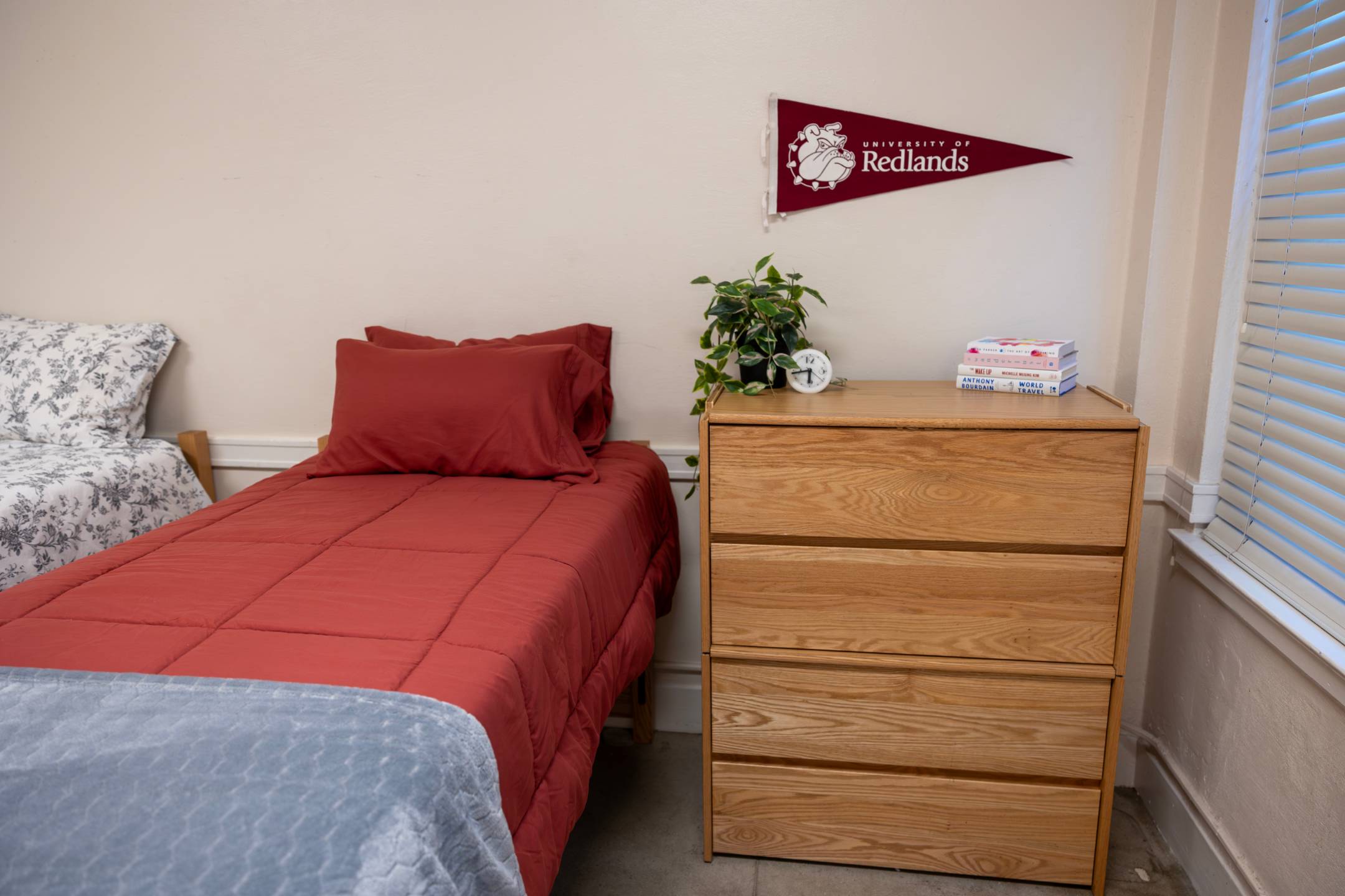 a bed with a wooden dresser and a plant