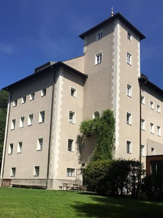 a building with a green plant growing on the side