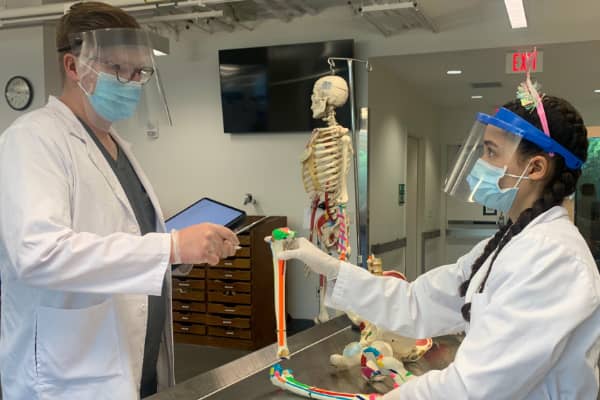 LLUPT-pathways-600x400