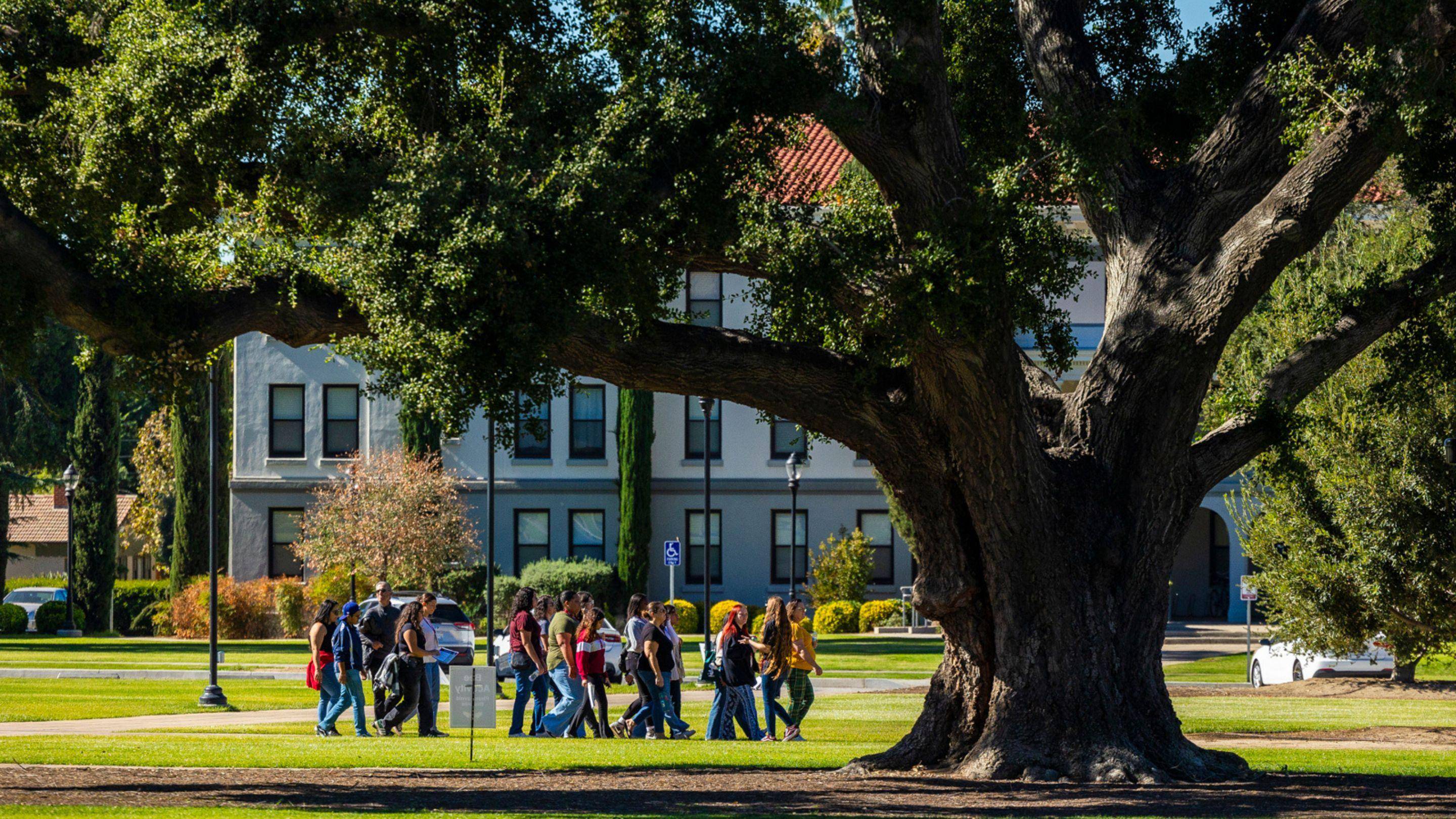 a group of people walking in a park