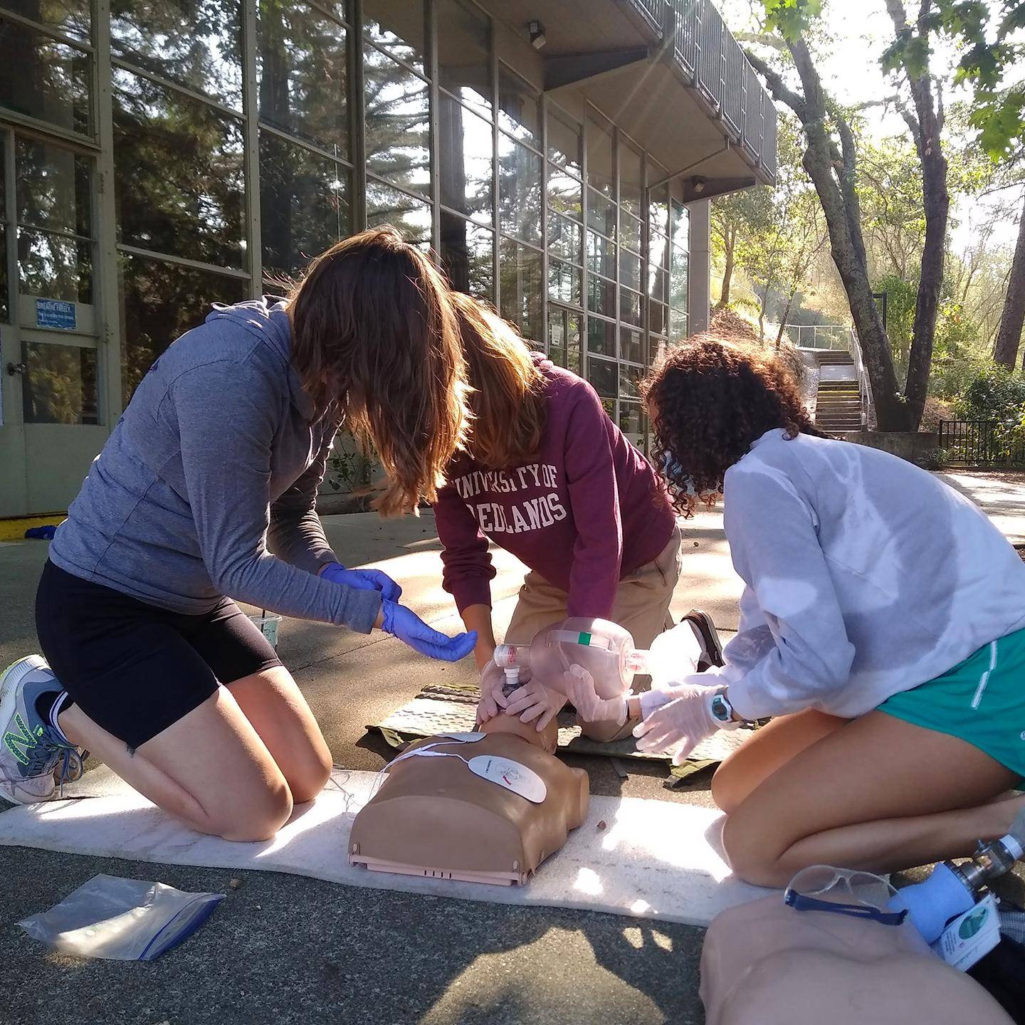 Mutiple media - Wilderness first responder course image