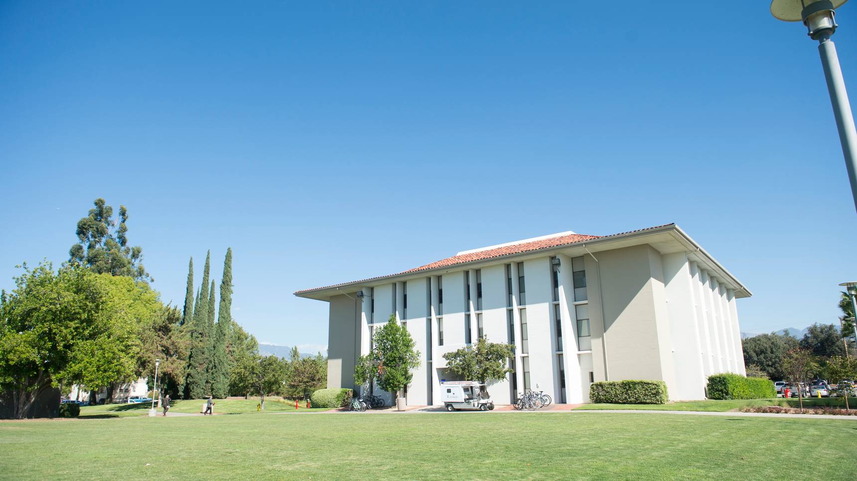 a building with a lawn and trees