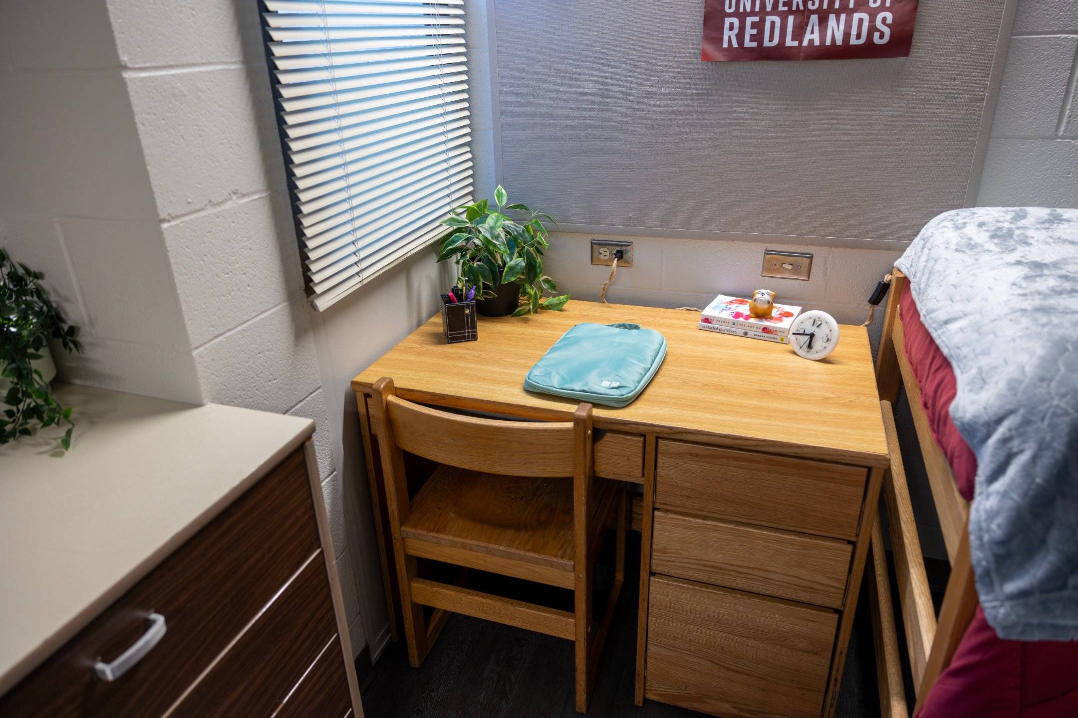 a desk with a chair and a plant